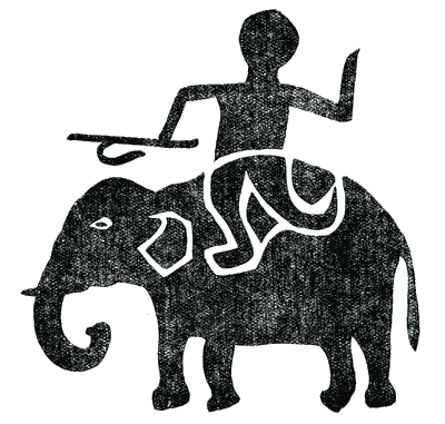 Elephant. Bonda Highlander.
