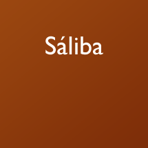 Sáliba  talking dictionary