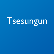 Tsesungun talking dictionary