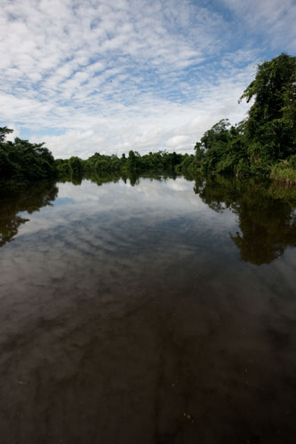 view of river from canoe. 