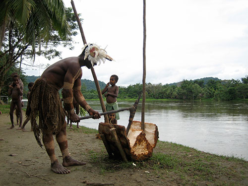 Yokoim sago palm - Adze is used to finish pith extraction