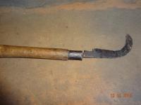 Photo by Opino Gomango