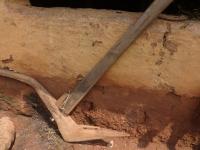 Photo by Opino Gomango