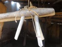 Photo by Opino Gomango