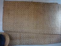 Photo by Opino Gomango