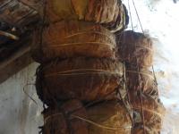 Photo by Opino Gomango