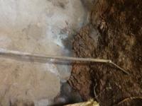 Photo by Opino Gomango