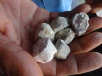 Photo by Opino Gomango