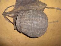 Photo by Opino Gomango