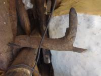 Photo by Opino Gomango