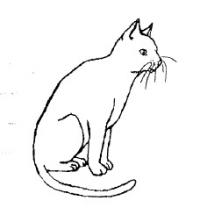 cat TEST