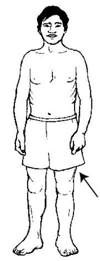 kudia