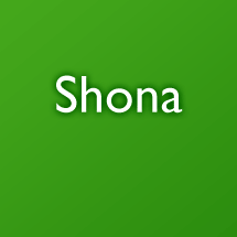 Shona talking dictionary